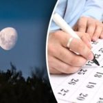 Millised oktoobri päevad toovad edu köögiviljaaias: oktoobri 2025. aasta kuukalender