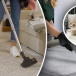 Mitte ühtegi jälge ei jäeta: 7 sammu uriinilõhna eemaldamiseks vaibast